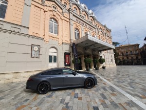 Dimovil gala sardinera