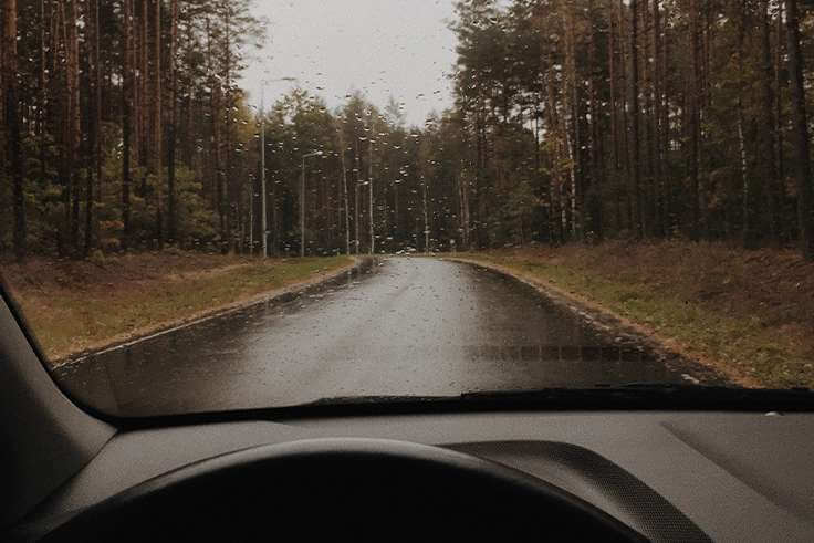 Conoce si tu luna del coche necesita un cambio o reparación